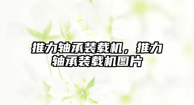 推力軸承裝載機(jī)，推力軸承裝載機(jī)圖片