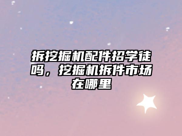 拆挖掘機配件招學(xué)徒嗎，挖掘機拆件市場在哪里