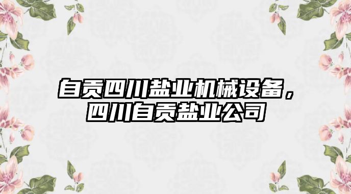 自貢四川鹽業(yè)機(jī)械設(shè)備，四川自貢鹽業(yè)公司