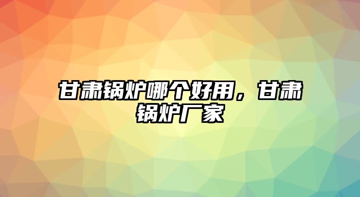 甘肅鍋爐哪個(gè)好用，甘肅鍋爐廠家